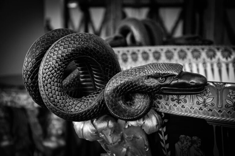 A detailed black and white close-up of a metallic serpent sculpture, featuring intricately carved scales and a sharp, focused eye, coiled around an ornate architectural element. serpent symbol.