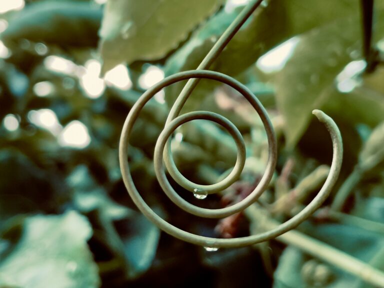 Spiral Symbol Meaning: The Oldest Shape in the World Explained